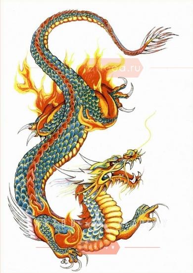 Татуировки дракон: значение и 178 фото и эскизов
