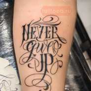 Татуировка надпись never give up