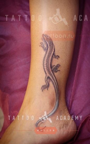 Супер тату ящерица в студии Маруха – все значение татуировки с ящерицей, подойдет ли вам?