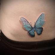 Тату бабочка внизу живота