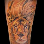 Тату лев на руке