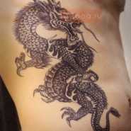 мужская тату на животе дракона