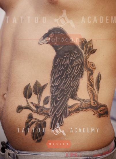 Татуировки вороны: значение и 66 фото и эскизов