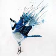 Эскиз тату птица синяя акварель