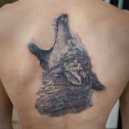 Татуировка оскал волка