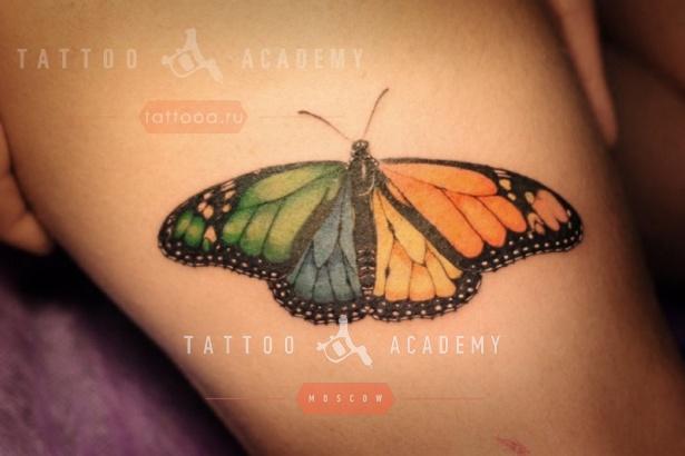 Татуировка в виде бабочки – традиции Японии в современном отображении