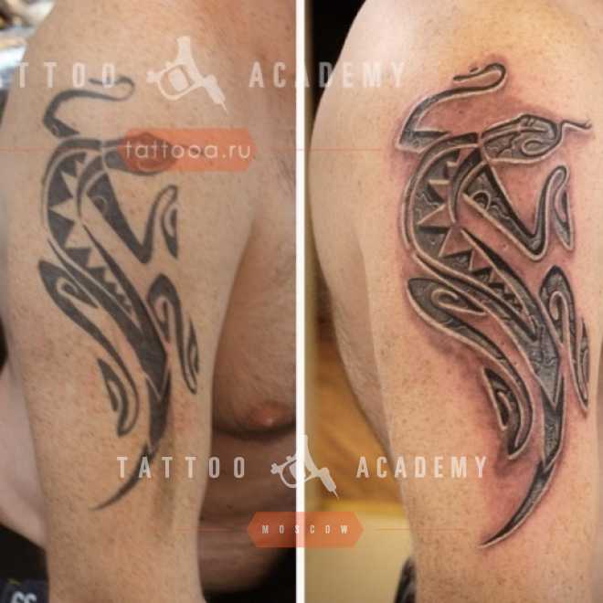 Foto Ispravleniya Tatu Kaver Ap Perekrytiya Tatuirovok Tattoo Academy