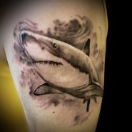 Тату акула на плече