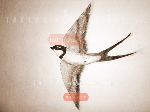 Тату Ласточка: фото и значение татуировки
