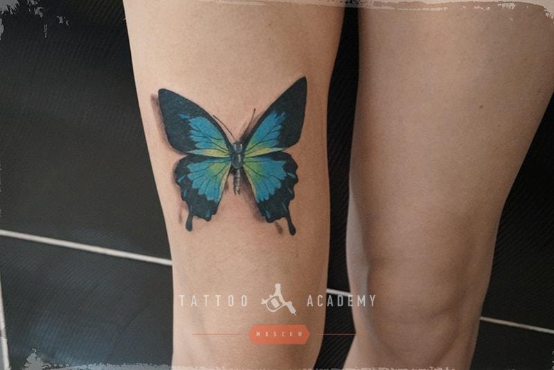 Татуировки бабочки на плече — очень значимые идеи дизайна