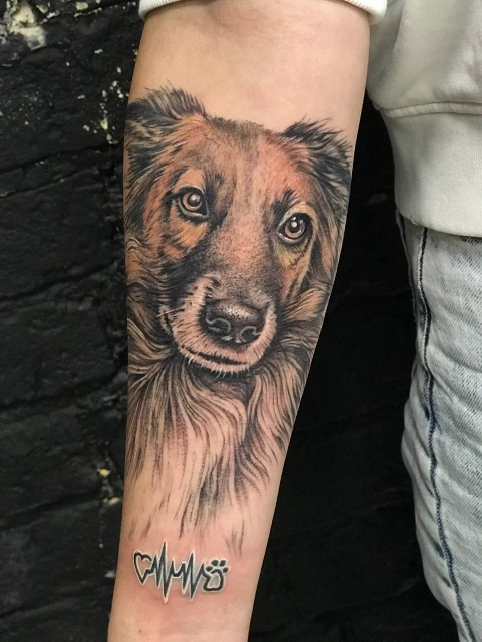 Портрет собаки